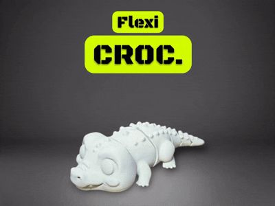 Color Flexi Croc.