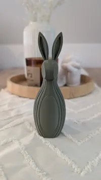 Large,0.16mm layer, 2 walls, 8% infill