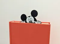 0.08mm layer, 2 walls, 100% infill