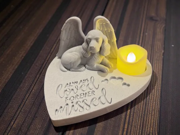 https://makerworld.bblmw.com/makerworld/model/US2db0ff0bf97f6b/design/2025-12-16_4d31eca5902a.jpg