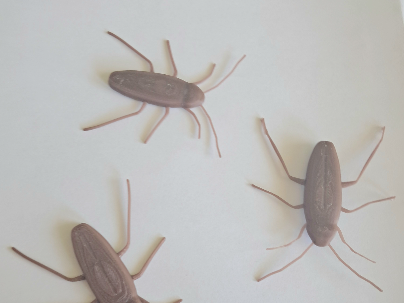 fake cockroach