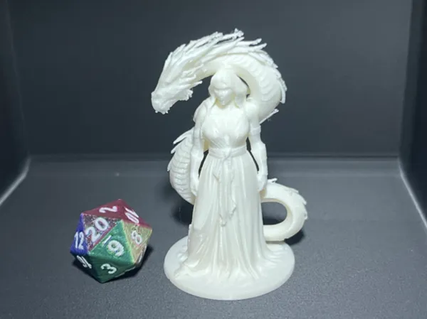 https://makerworld.bblmw.com/makerworld/model/US2dbb968850fef5/design/fa9b14b41dec27a1.png