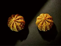 0.2mm 层高, 2 层墙, 15% 填充