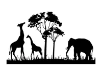 Tableau safari animaux — photo 2