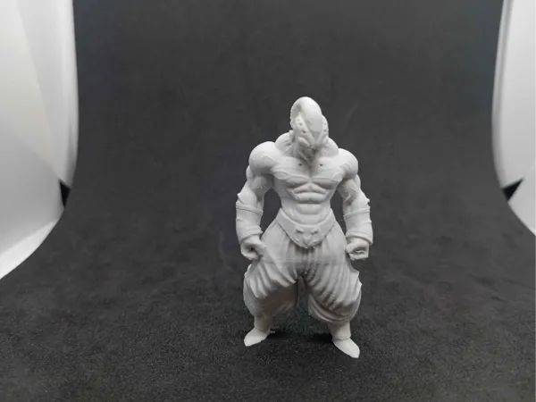 https://makerworld.bblmw.com/makerworld/model/US2dc5dd9c8eb041/design/2025-12-17_c06c2481d72aa.jpg
