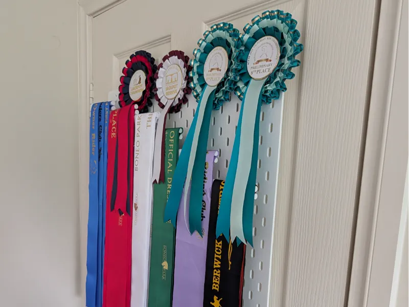 Skadis Equestrian Display Clips
