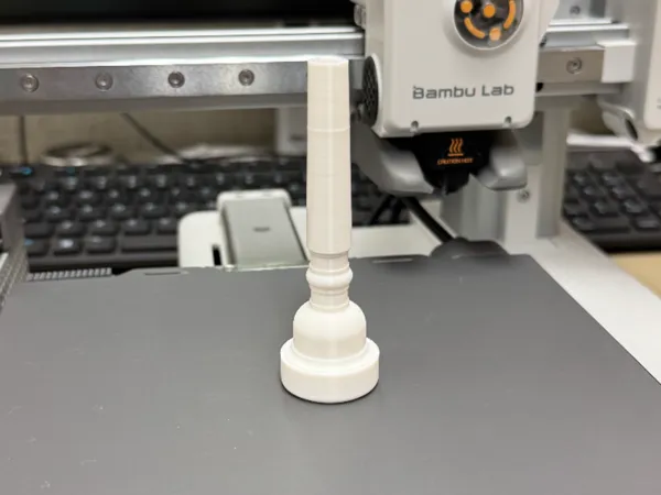 https://makerworld.bblmw.com/makerworld/model/US2dc9f009768bd5/design/2025-12-03_765bd36dd6f2f.jpg