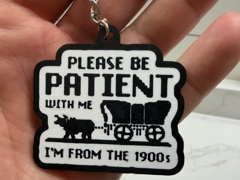 Be patient Oregon Trail