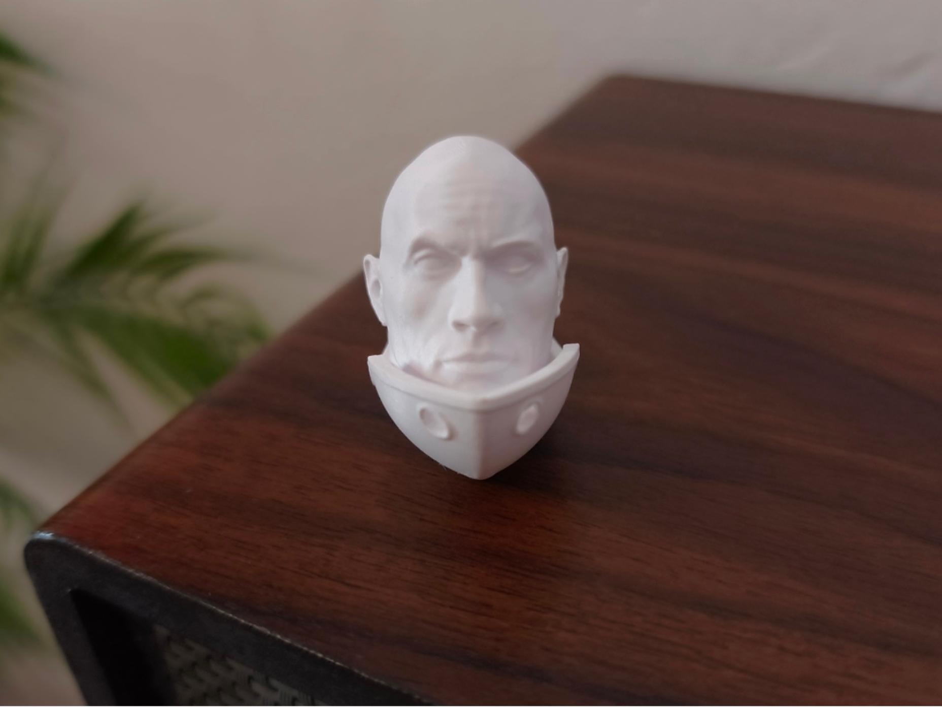 The RockoBenchy (Dwayne "The Rock")