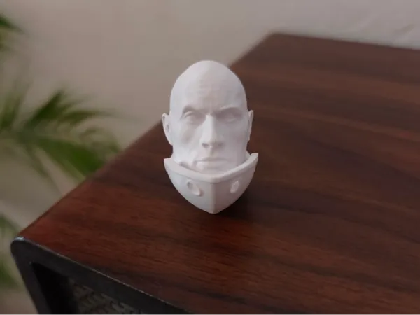 https://makerworld.bblmw.com/makerworld/model/US2dd02c040fc609/design/5289fc92587d704a.jpg