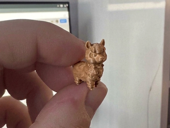 Mini Llama