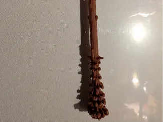 Fred Weasley Wand