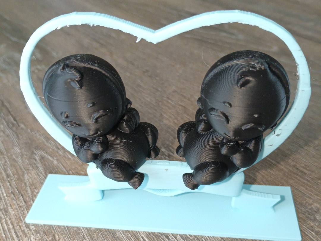 Twins in a heart