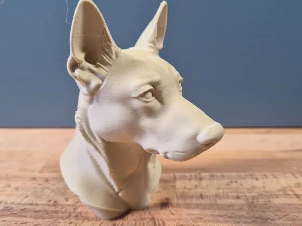 https://makerworld.bblmw.com/makerworld/model/US2dd82d42acd449/design/2025-05-20_a55d095dcb8c98.jpg