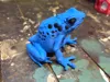 0.2mm layer, 4 walls, 15% infill