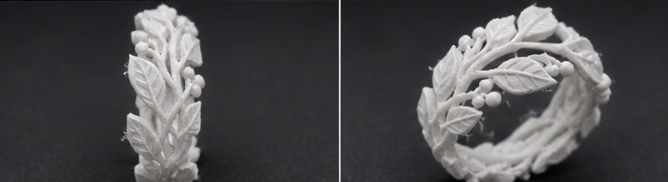 红枝栖果|Fruit‑Bearing Twig Ring - 1
