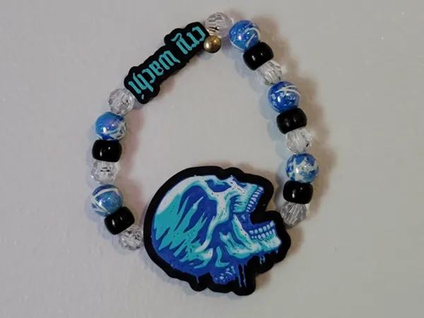 https://makerworld.bblmw.com/makerworld/model/US2dea9b66a5eda2/design/2026-01-11_c475eddd3587.jpg