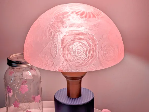 https://makerworld.bblmw.com/makerworld/model/US2deef8ffc5ac2c/design/2025-05-18_b65a9b3de2212.jpg