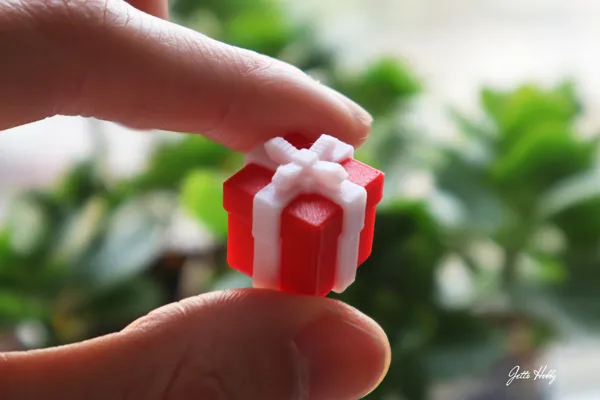https://makerworld.bblmw.com/makerworld/model/US2df6933479b540/design/2023-12-16_efd851bb236c.jpg