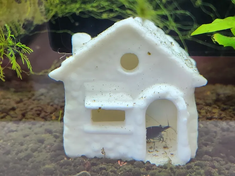 Shrimp House