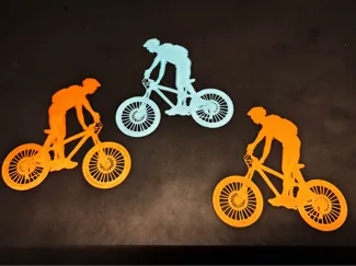 Mountain bike rider