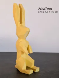 Medium: 5,6 x 8,5 x 20 cm