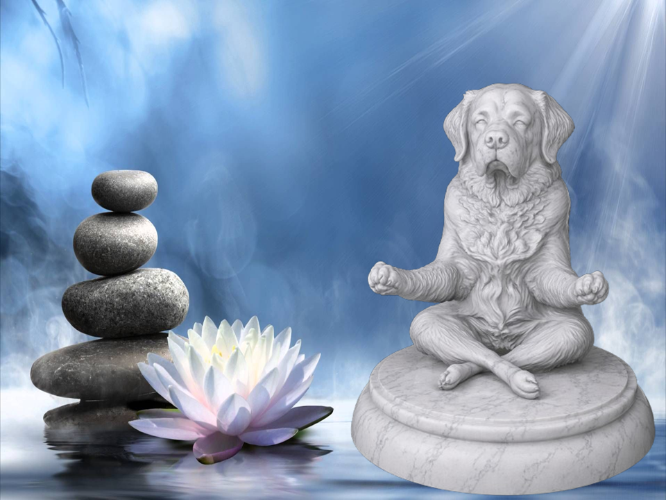 Zen Dog - Saint Bernard