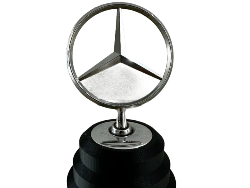 Mercedes Stern Halter
