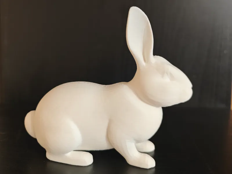 Rabbit