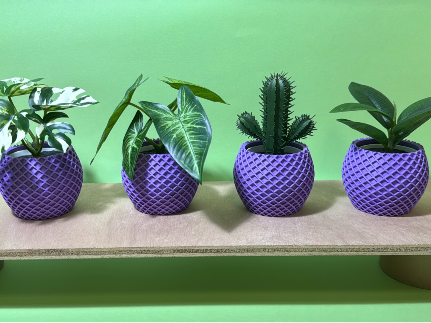 TRAMA |IKEA FEJKA da 6 cm 3D model