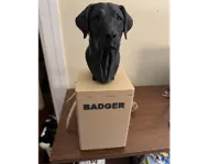 Lab urn