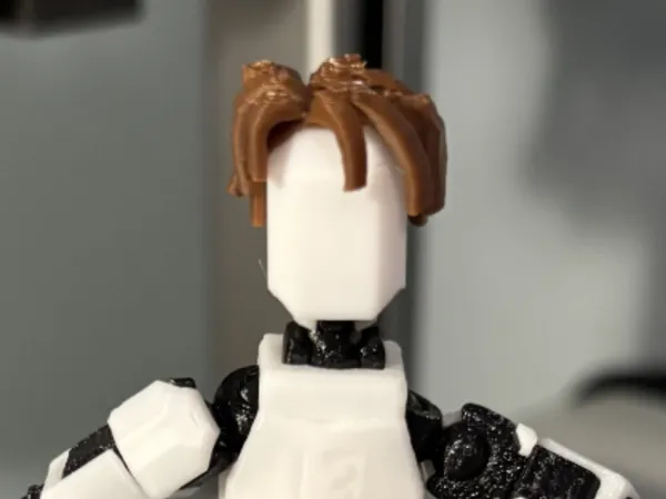 https://makerworld.bblmw.com/makerworld/model/US2e14d5145a3f88/design/2025-04-01_19266b5c3bd2d.jpg