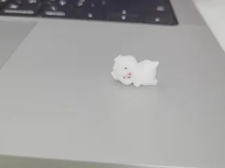 mini pig