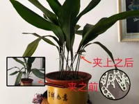 0.2mm 层高, 2 层墙, 15% 填充