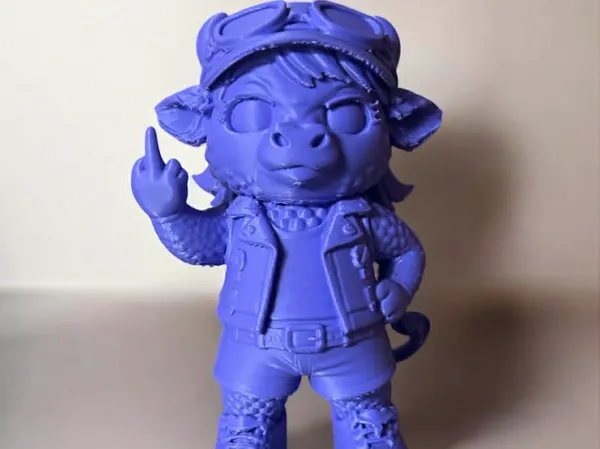 https://makerworld.bblmw.com/makerworld/model/US2e208b0d7cf6c7/design/2026-01-08_01ba82d8b6ca58.jpg