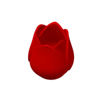 Tulipe avec tige — cadeau Saint-Valentin — photo 3