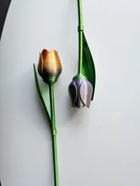 Tulipe avec tige — cadeau Saint-Valentin — photo 8