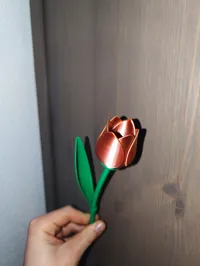 Tulipe avec tige — cadeau Saint-Valentin — photo 6