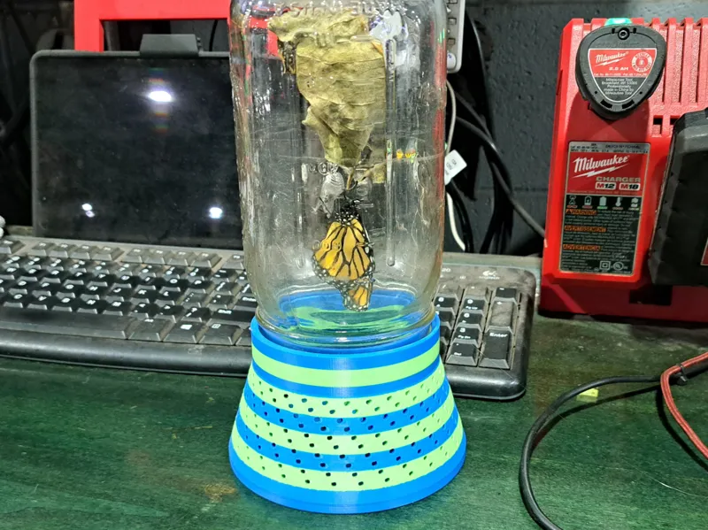 Monarch Butterfly Mason Jar Hatching
