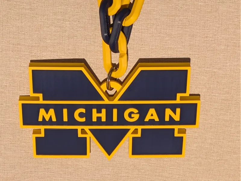 Michigan Wolverines Hypechain