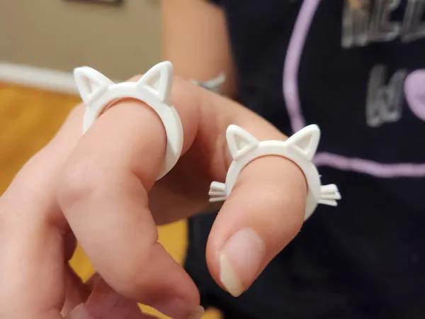 https://makerworld.bblmw.com/makerworld/model/US2e2a0115ae2d98/design/2025-12-04_6b2433eac41f88.jpg