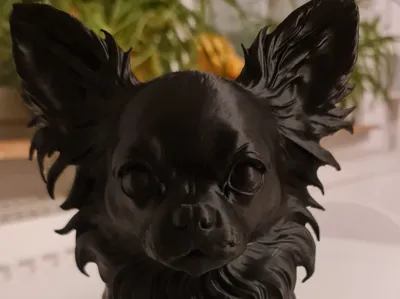 Chihuahua Bust