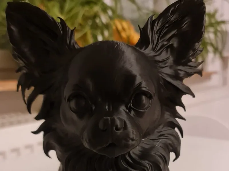 Chihuahua Büste