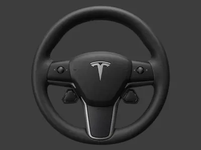 S3XY Buttons Steering Wheel Mount | Tesla M3 & Y
