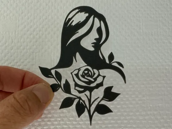 https://makerworld.bblmw.com/makerworld/model/US2e2e39a93789d2/design/2024-08-07_11e24c2e4bde.jpeg