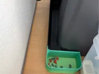 0.2mm layer, 3 walls, 15% infill