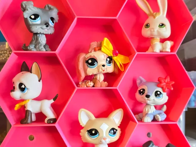 LPS honeycomb Home