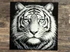 0.08mm layer, 1 walls, 100% infill