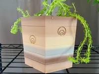 Planter Profile