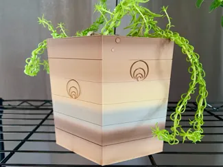 Hexagonal Planter with Drip Tray, medium (1.0)